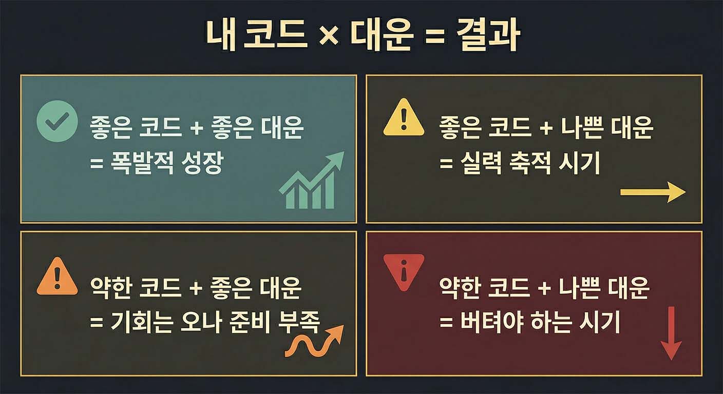 P60Code × 대운 조합 결과 인포그래픽